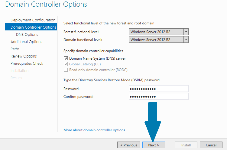 provide Directory Services Restore Mode (DSRM) password