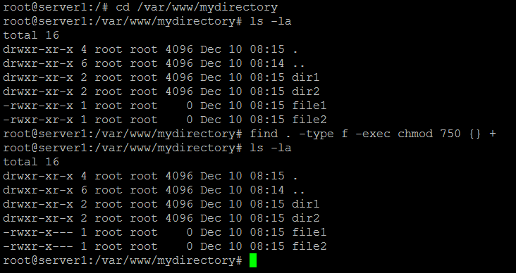 Chmod files only example