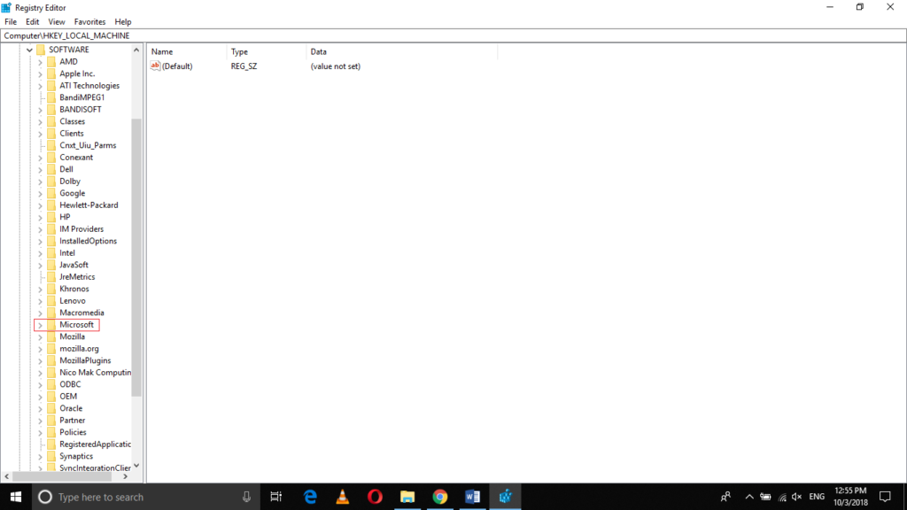 HKEY_LOCAL_MACHINE > Software > Microsoft