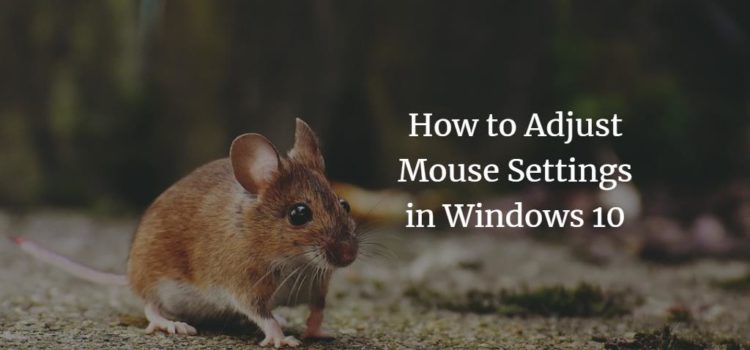 How to Adjust Mouse Settings in Windows 10 How to Adjust Mouse Settings in Windows 10