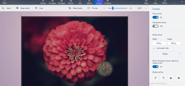 How to Resize and Edit Images in Windows 10 How to Resize and Edit Images in Windows 10