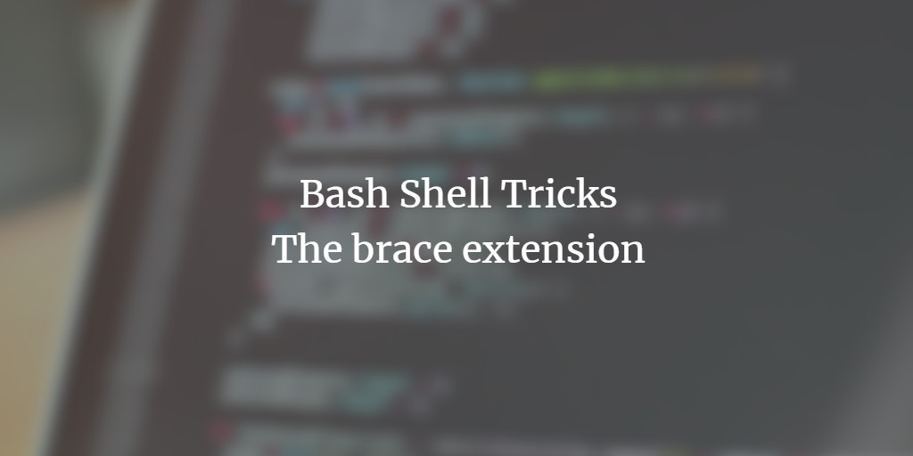 BASH brace extension