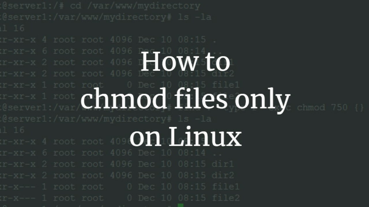 How To Chmod Files Only On Linux How To Chmod Files Only On Linux