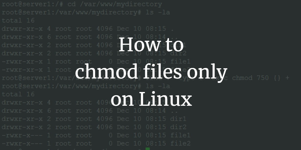 How To Chmod Files Only On Linux