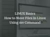 LINUX Basics: How to Move Files in Linux Using mv Command