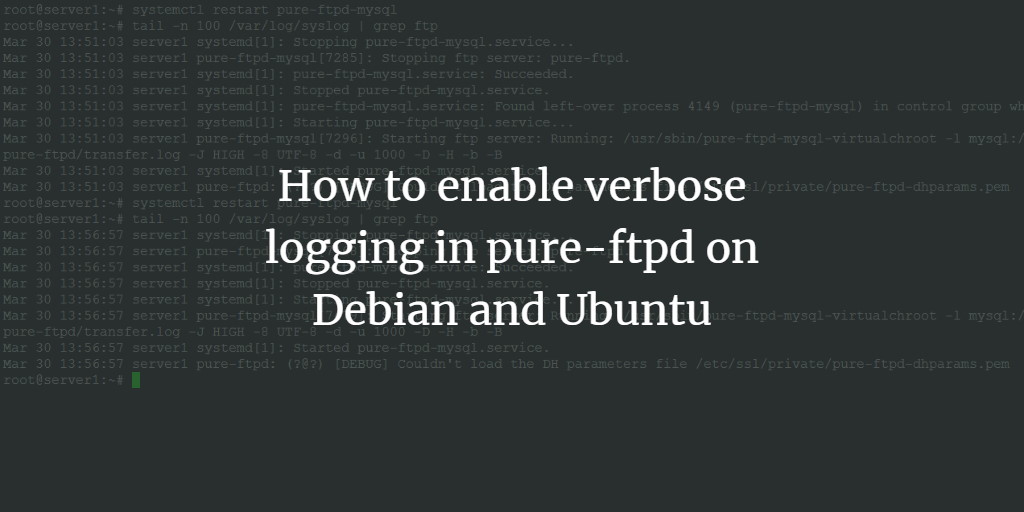 PureFTPD Verbose Log