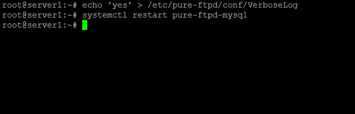 Enable verbose log pure-ftpd