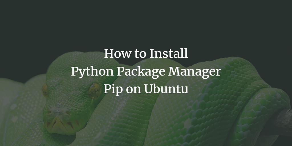Install Python pip package manager