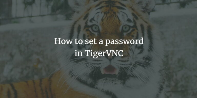 How to set a VNC password