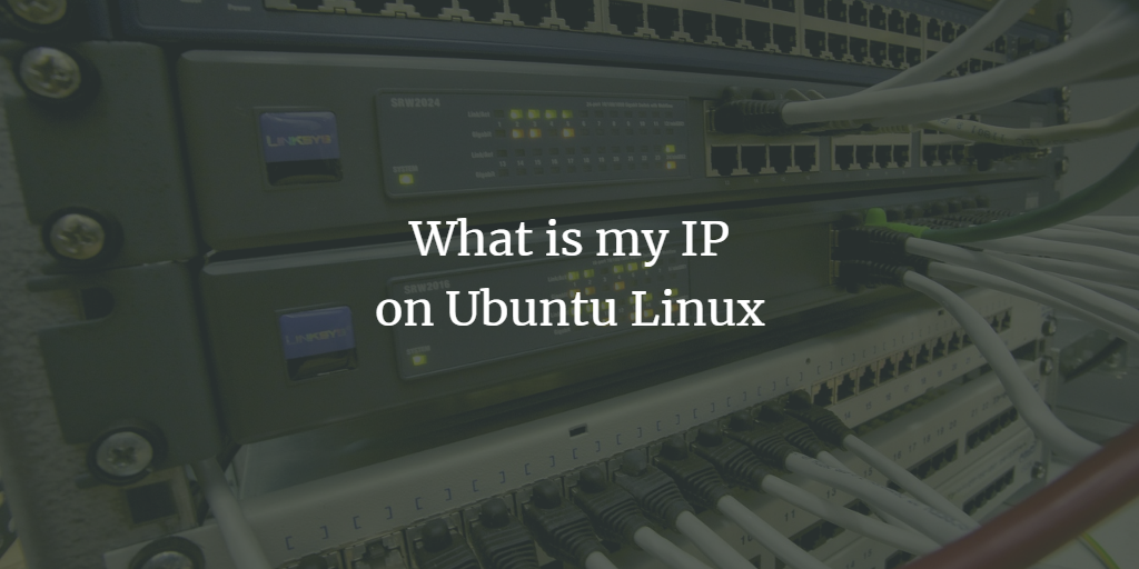 Ubuntu Linux IP address