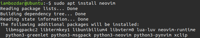 Install Neovim